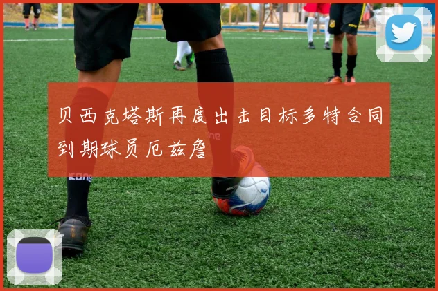 贝西克塔斯再度出击目标多特合同到期球员厄兹詹